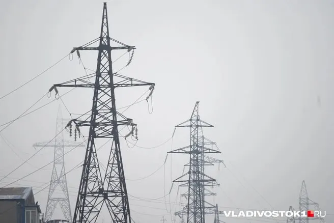 По прогнозу, утверждённому правительством, с 1 октября 2026 года начнётся поэтапная индексация тарифов в Приморье: городской тариф может подняться до ~8,04 руб./кВт·ч к 2029 году, для домов с электроплитами — примерно до 6,44 руб./кВт·ч.