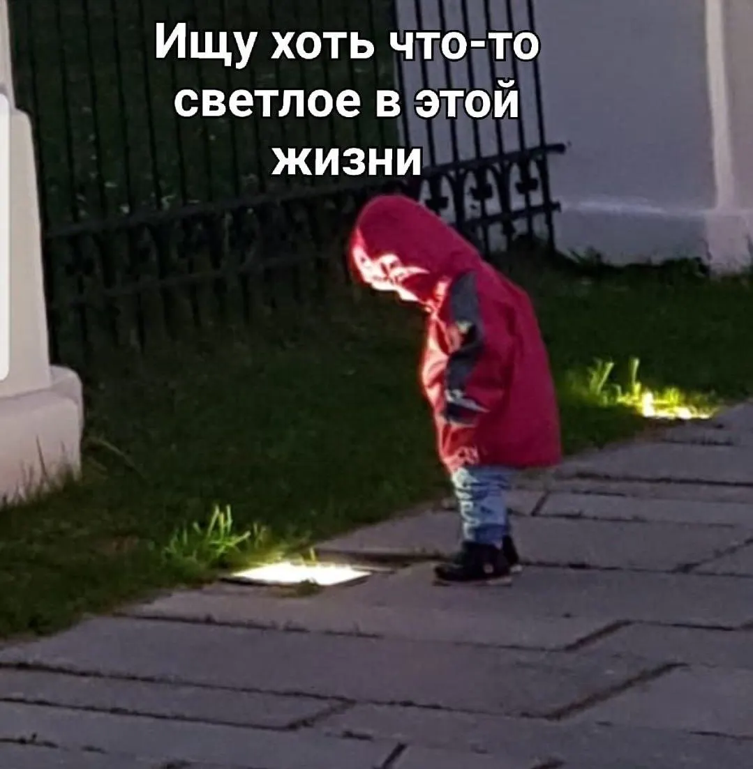 Депутаты отмечают рост фальшивых сайтов отелей, лагерей и турфирм. Предлагается создать единый информационный портал туризма для безопасного бронирования и официальной информации о маршрутах.