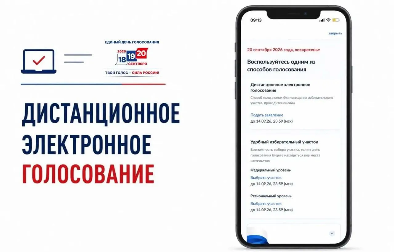 Официально открылась подача заявлений на участие в дистанционном электронном голосовании на портале госуслуг; авторская позиция обвиняет систему в непрозрачности и возможных манипуляциях.