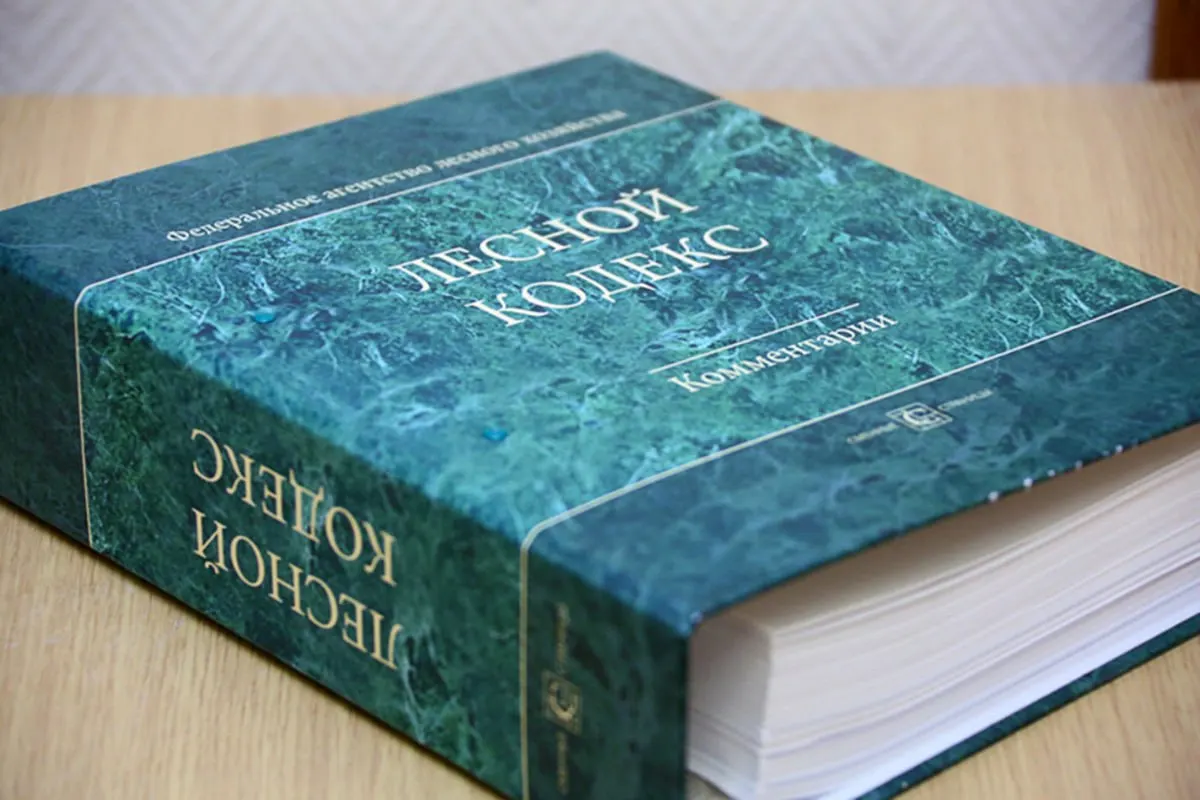 С 2006 года в Лесной кодекс внесли 79 наборов поправок; по мнению эксперта по лесному хозяйству, документ фактически стал новым и требует замены и существенного упрощения, чтобы снизить риски для бизнеса и специалистов.