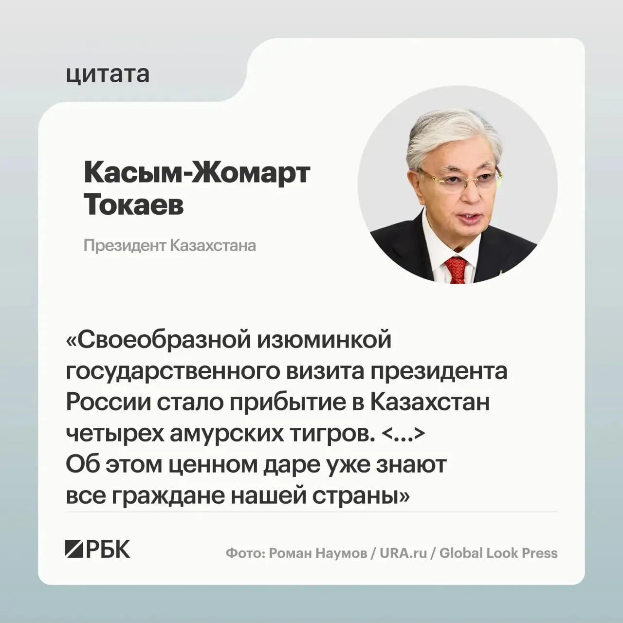 Президентам России и Казахстана показали презентацию о семье амурских тигров, которые передали Астане в рамках помощи по возрождению вида на территории республики.