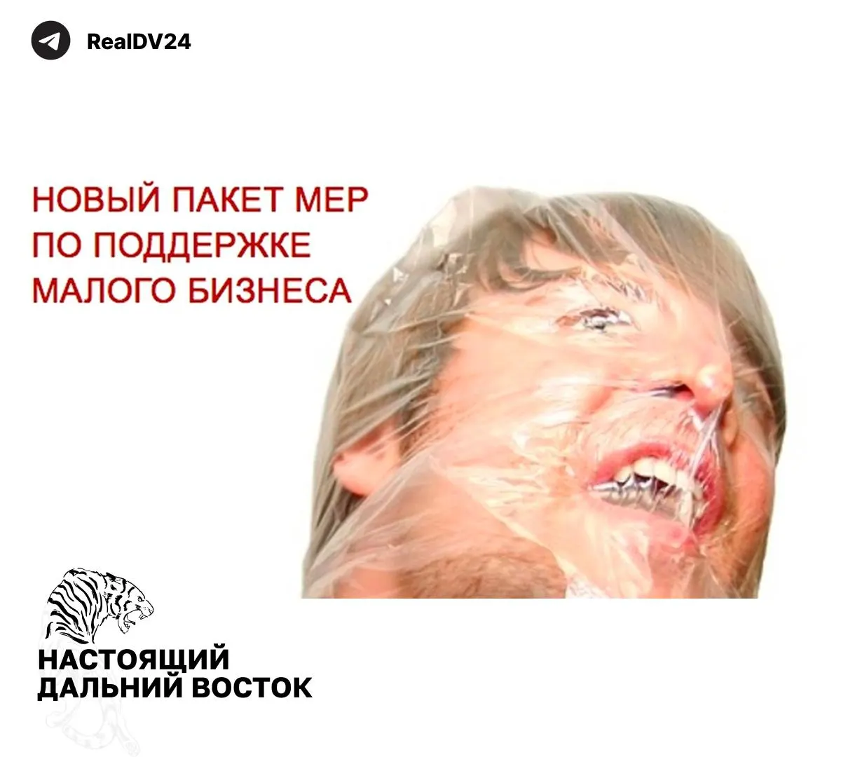 Федеральная налоговая служба направила регионам рекомендации по повышению налоговых поступлений: изменения затрагивают кадастровую оценку недвижимости, транспортный и земельный налоги, а также льготы для бизнеса.