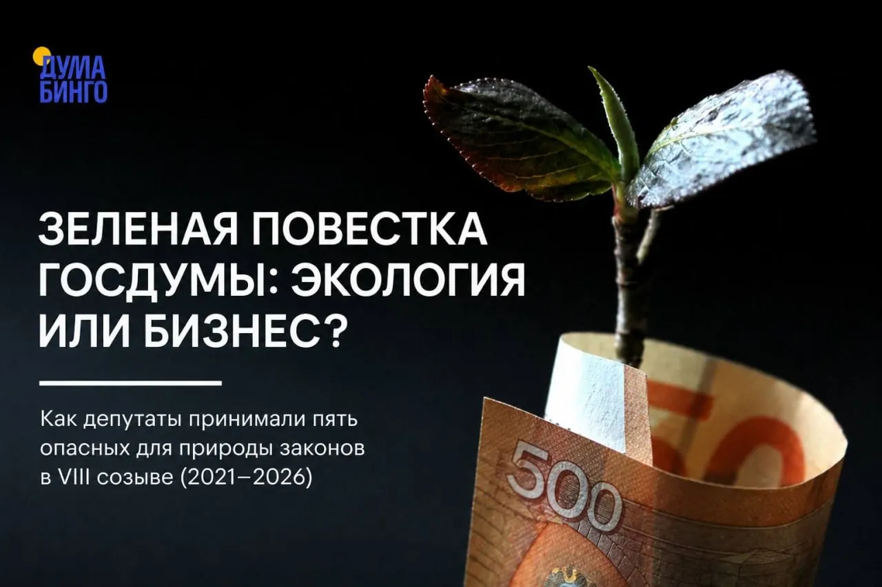 Анализ голосований за последние пять лет показывает: ряд законодательных инициатив снижает экологические гарантии. Решения чаще принимаются большинством фракции «Единая Россия», а независимые позиции встречаются реже.