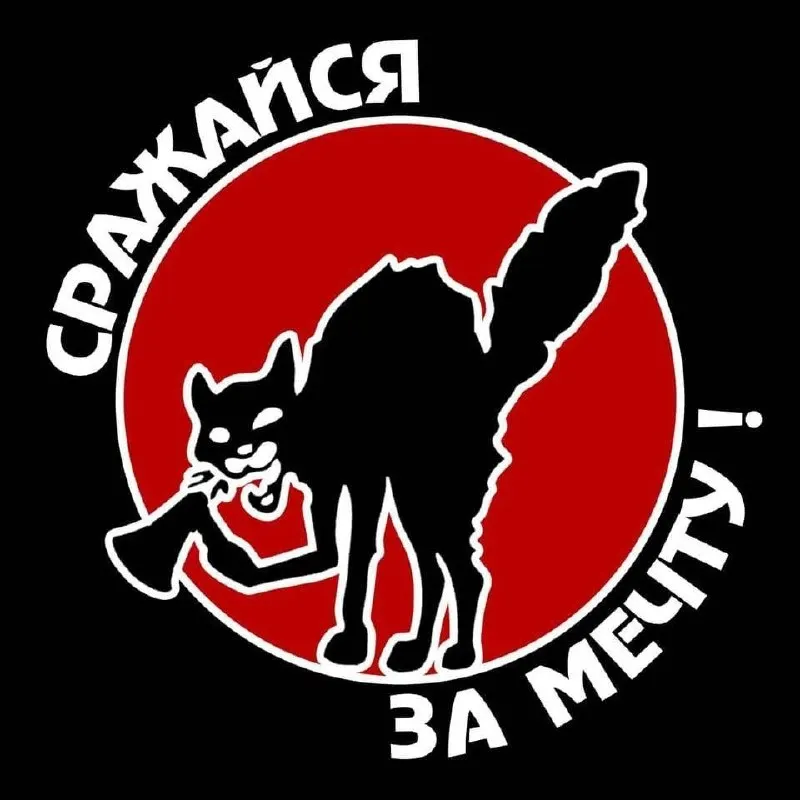 В обновлённый список попали анархистское объединение, правозащитный проект и социолог Елена Конева — автор проекта ExtremeScan, проводящего опросы о войне и отношениях к власти.