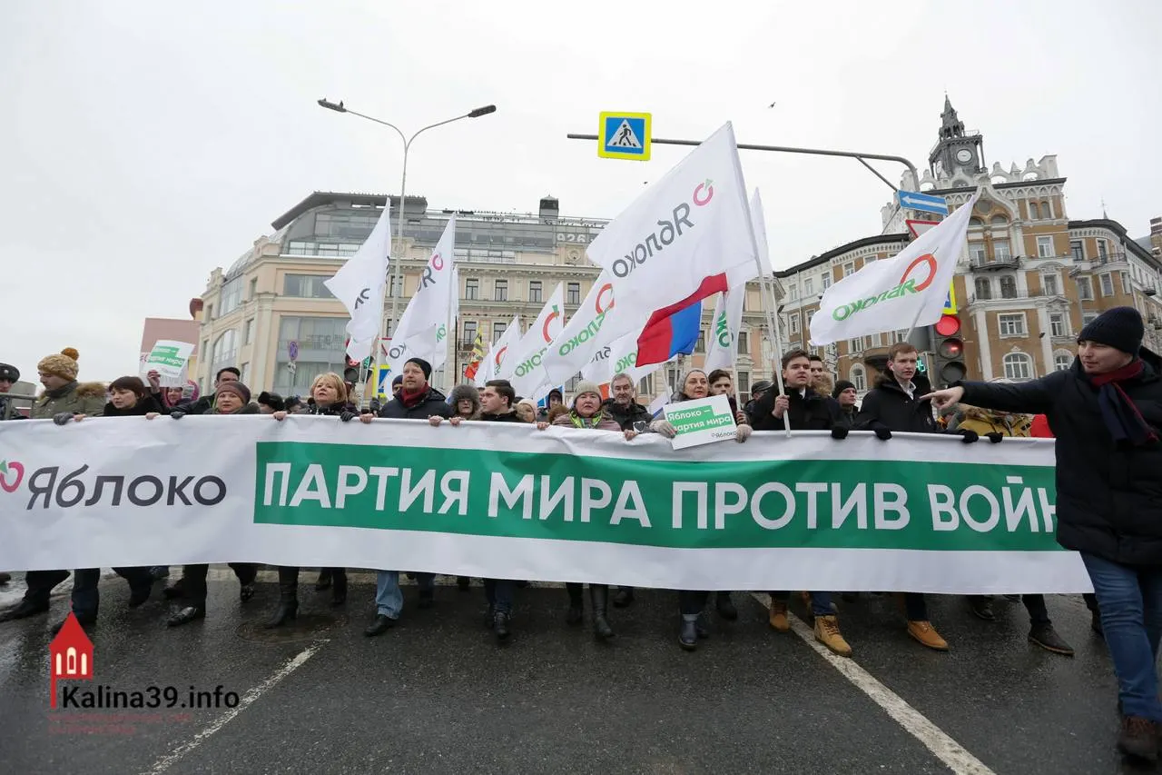 После регистрации федерального списка «Яблока» эксперты предполагают, что власти могли допустить партию, чтобы канализировать протест в контролируемое русло. При этом многих известных кандидатов не допустили, а для антивоенных избирателей голосование остаётся одной из немногих легальных форм выражения позиции.