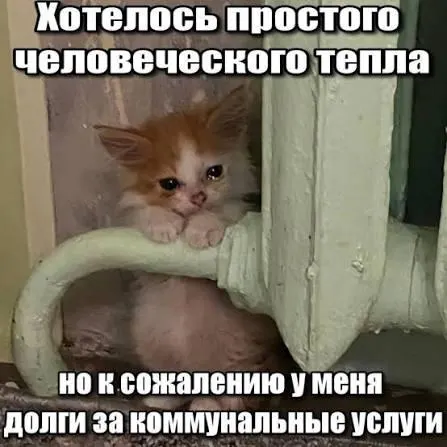 Верховный суд подтвердил, что из квитанций нельзя включать долги за капитальный ремонт старше трёх лет — истечение срока исковой давности защищает должника от принудительного взыскания.