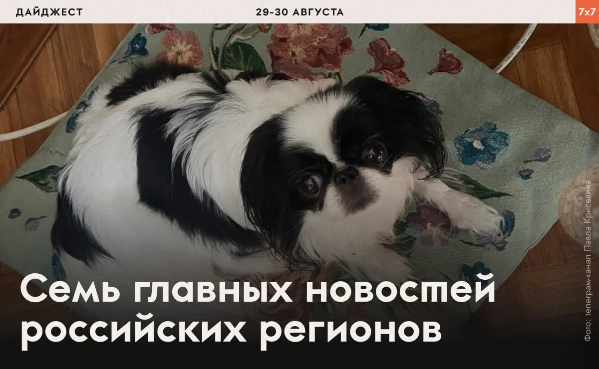 Обзор случаев давления на правозащитников, ограничений агитации и региональных инцидентов по всей России.