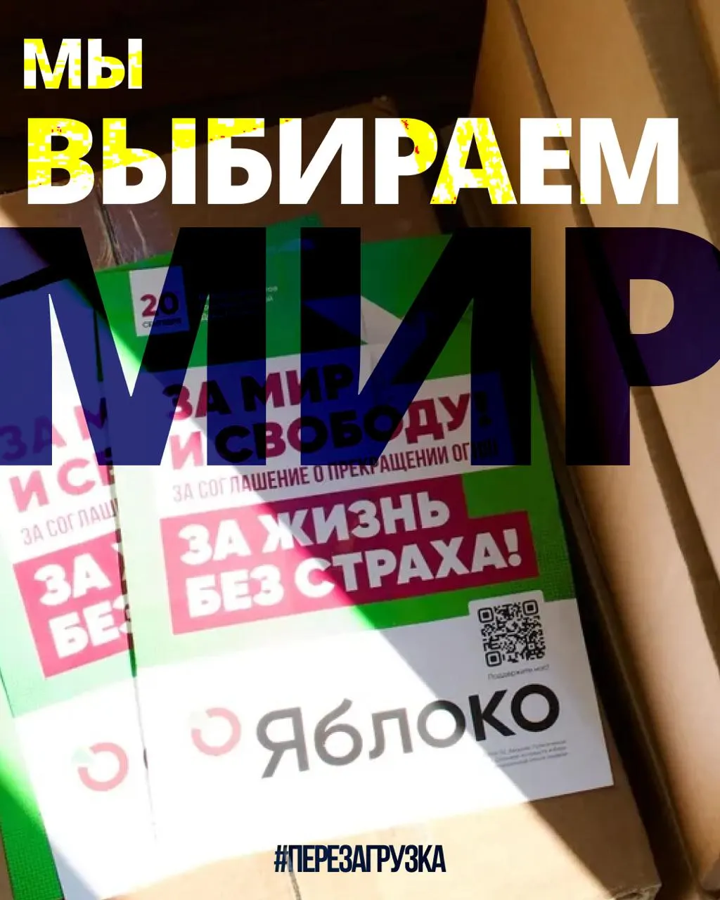 53 региона охвачены кампанией 135 кандидатов от партии «Яблоко»; ожидается апелляция в Верховный суд по списку; поддержка растёт по всей стране и за рубежом.