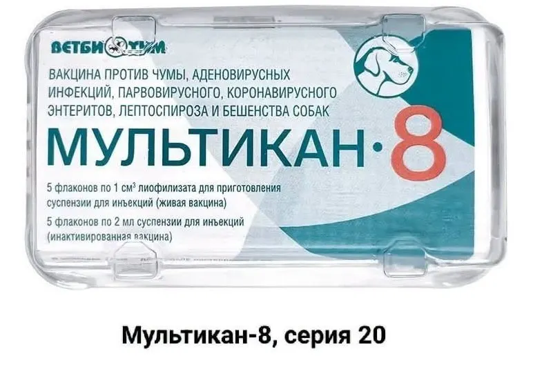 Владельцы животных требуют открытого расследования после гибели собак после вакцинации; жалуются на давление на лаборатории и задержки в анализе вакцины.
