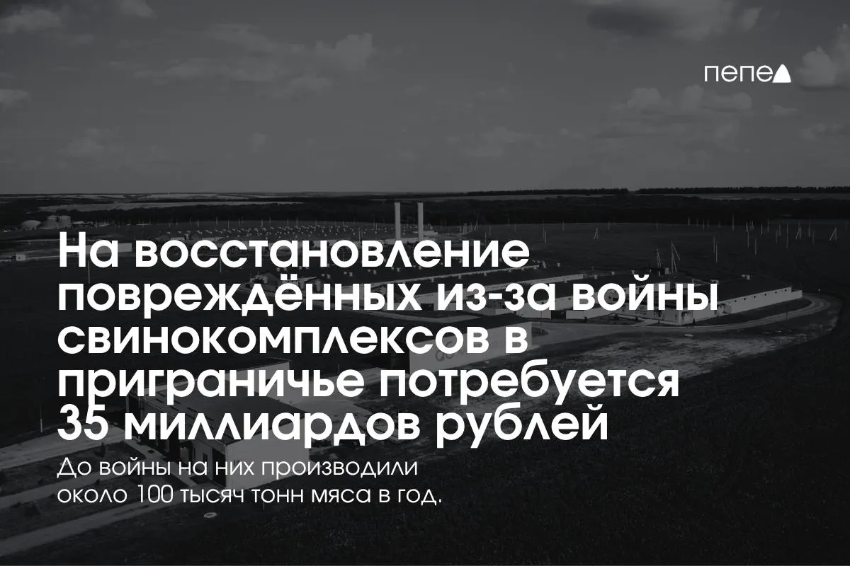 Стоимость восстановления пострадавших свинокомплексов в Белгородской, Курской и Брянской областях оценивается в 35 млрд рублей.